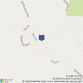 16135 Bottle Rock rd. Cobb, CA MLS# LC25260172