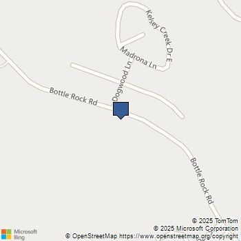 15865 Bottle Rock Road Cobb, CA MLS# LC25187412