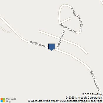 15845 Bottle Rock Road Cobb, CA MLS# LC25187380