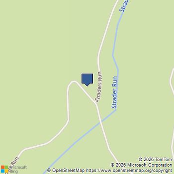 Tract 1 - 25.88 acs Straders Run Road Seneca Rocks, WV MLS# WVPT2001306
