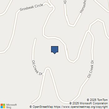 1480 Pikes Peak Drive Divide, CO MLS# 8630277