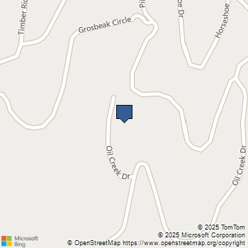 1440 Pikes Peak Drive Divide, CO MLS# 2849904