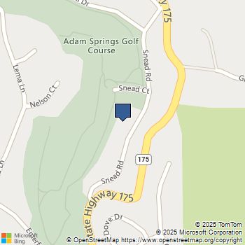 14461 Snead Drive Cobb, CA MLS# LC24142724