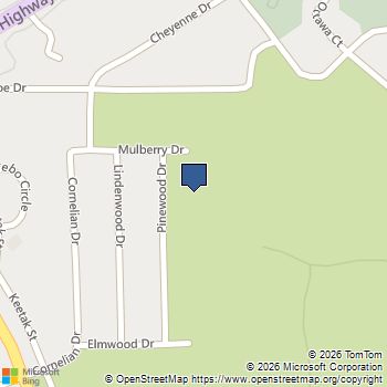 2161 Pinewood Drive South Lake Tahoe, CA MLS# ML82033267