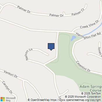 14000 Nelson Lane Cobb, CA MLS# LC25171195