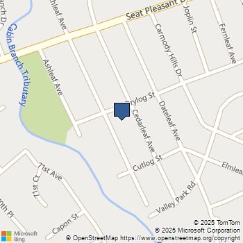 418 Cedarleaf Avenue Capitol Heights, MD MLS# MDPG2181270