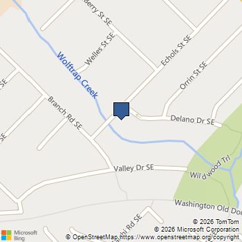 501 Delano Drive SE Vienna, VA MLS# VAFX2295578