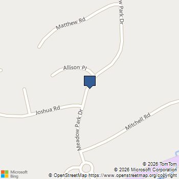 405 Meadow Park Drive Divide, CO MLS# 3998236