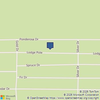 341 Lodgepole Drive Leadville, CO MLS# 6827772