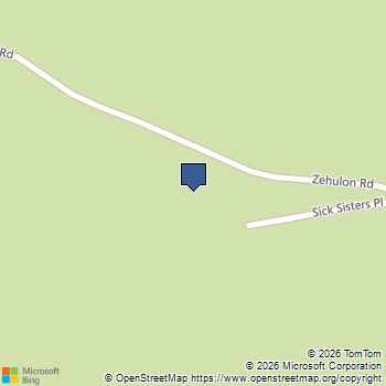 1180 Zebulon Street Alma, CO MLS# 4722169