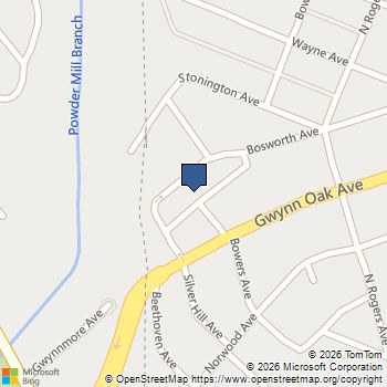 2917 Silver Hill Avenue Baltimore, MD MLS# MDBA2219714