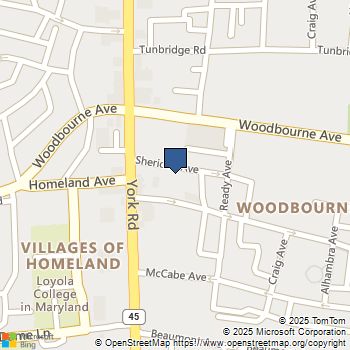 523 Sheridan Avenue Baltimore, MD MLS# MDBA2180090