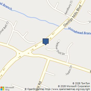 8 Trout Lily Court Owings Mills, MD MLS# MDBC2167288