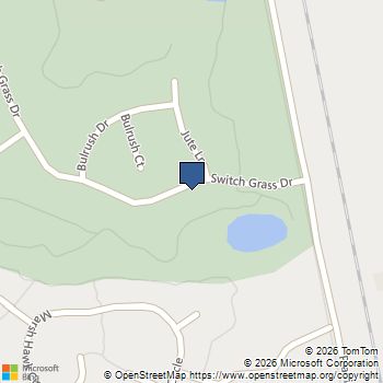 1026 Switch Grass Drive Castle Rock, CO MLS# 3353795