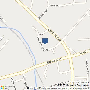 29 Hunting Horn Circle Reisterstown, MD MLS# MDBC2149036