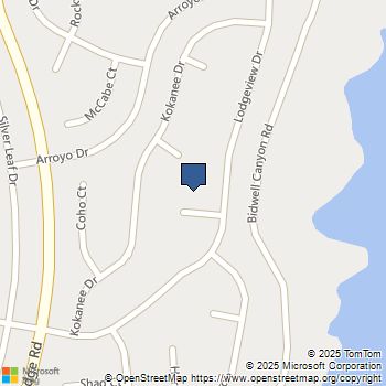 12 Sturgeon Court Oroville, CA MLS# OR25139200