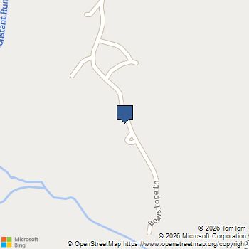 1821 Bears Lope Lane Great Cacapon, WV MLS# WVMO2007474