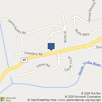 211 Main Street Sierra City, CA MLS# NS23126622