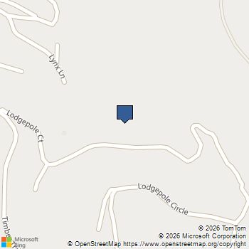 32613 Lodgepole Circle Evergreen, CO MLS# 2452466