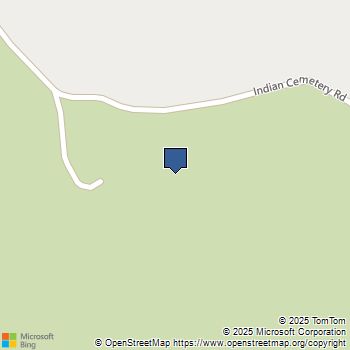 49 Indian Cemetery Road Berry Creek, CA MLS# OR25106127