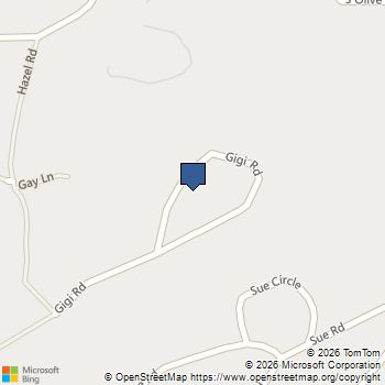 29697 Gigi Road Evergreen, CO MLS# 2182320