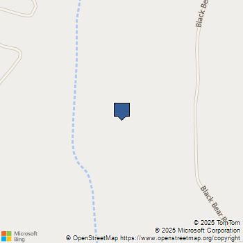 110 Black Bear Road Berry Creek, CA MLS# OR24225521