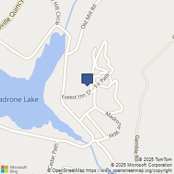 11 Forest Inn Drive Berry Creek, CA MLS# SN25140410