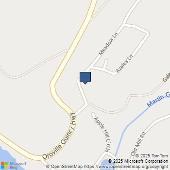 20 Meadow Lane Berry Creek, CA MLS# OR25049500