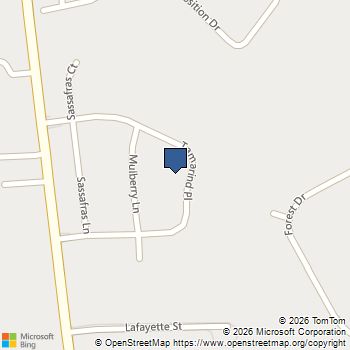 1145 Tamarind Place Williamstown, NJ MLS# NJGL2073336