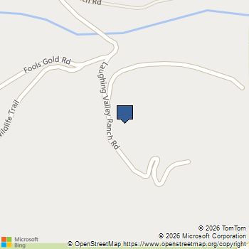 239 Laughing Valley Ranch Road Idaho Springs, CO MLS# 5364679
