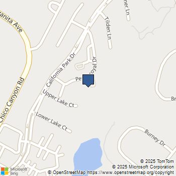 2875 Pennyroyal Drive Chico, CA MLS# SN25059524