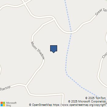 976 Moon Shadow Portola, CA MLS# ML81998486