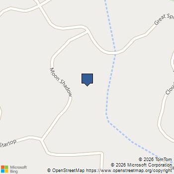 976 Moon Shadow Portola, CA MLS# ML82030524