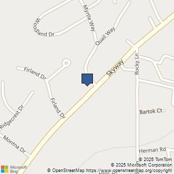 8645 Skyway Paradise, CA MLS# SN25143120