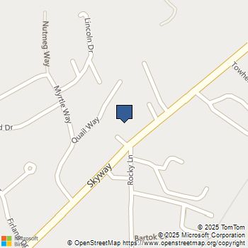 8699 Skyway Paradise, CA MLS# SN25238581