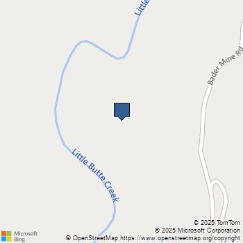 13670 Bader Mine Road Paradise, CA MLS# SN25198716