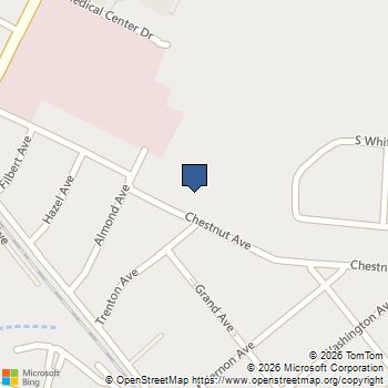 1006 Chestnut Avenue Laurel Springs, NJ MLS# NJCD2111798