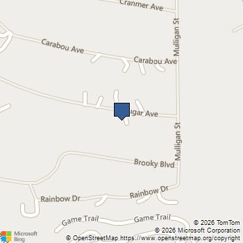 112 Cougar Avenue Fraser, CO MLS# 7225994