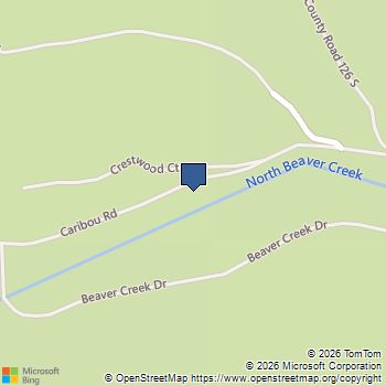 531 Caribou Road Nederland, CO MLS# 2409992