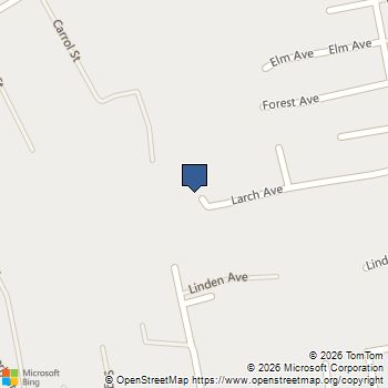 525 Larch Avenue Browns Mills, NJ MLS# NJBL2119692