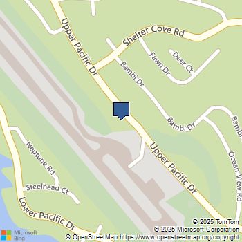 1455 Upper Pacific Drive Shelter Cove, CA MLS# OC24034566