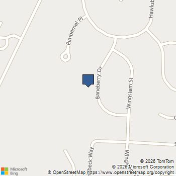 6134 Baneberry Drive Westerville, OH MLS# 226005422