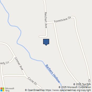 204 Reichart Avenue 1 Wintersville, OH MLS# 5176747