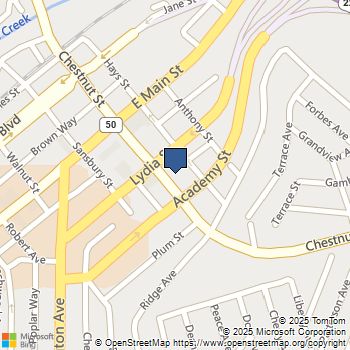 509 Chestnut Street Carnegie, PA MLS# 1735231