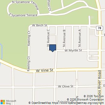 666 N Avenue B Canton, IL MLS# 12558860