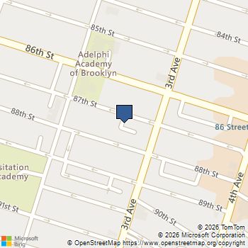 256 87th Street Brooklyn, NY MLS# RLS20103214