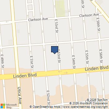 206 E 53RD Street NA Brooklyn, NY MLS# RLS10874948