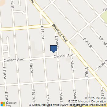 52 E 55TH Street 2FAM Brooklyn, NY MLS# RLS20063603