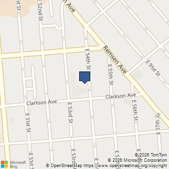 76 E 54th Street Building Brooklyn, NY MLS# RLS10981384