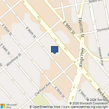 217 E 96th Street Multi Brooklyn, NY MLS# RLS20101600